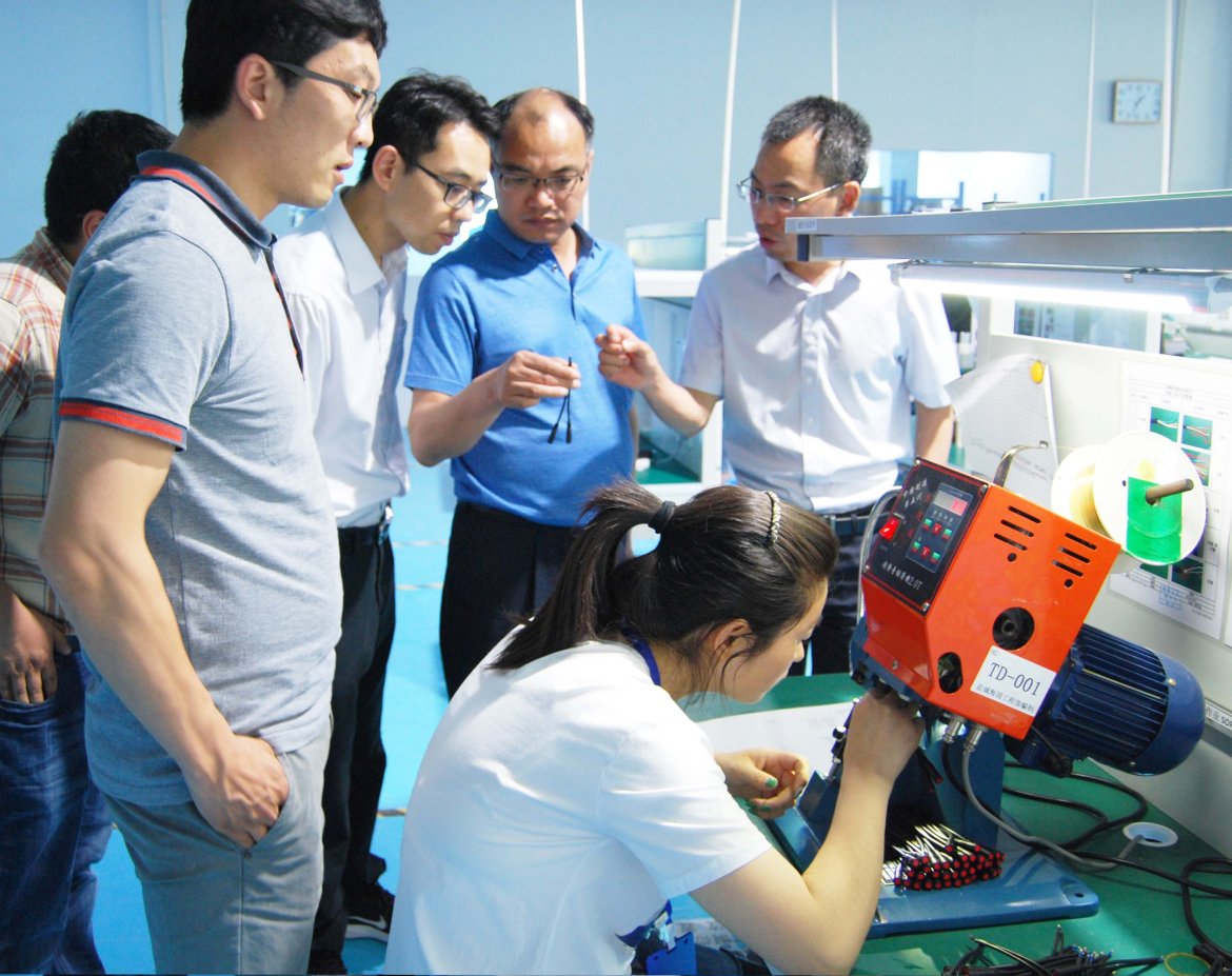 Experte für E-Bike-Kabelbäume