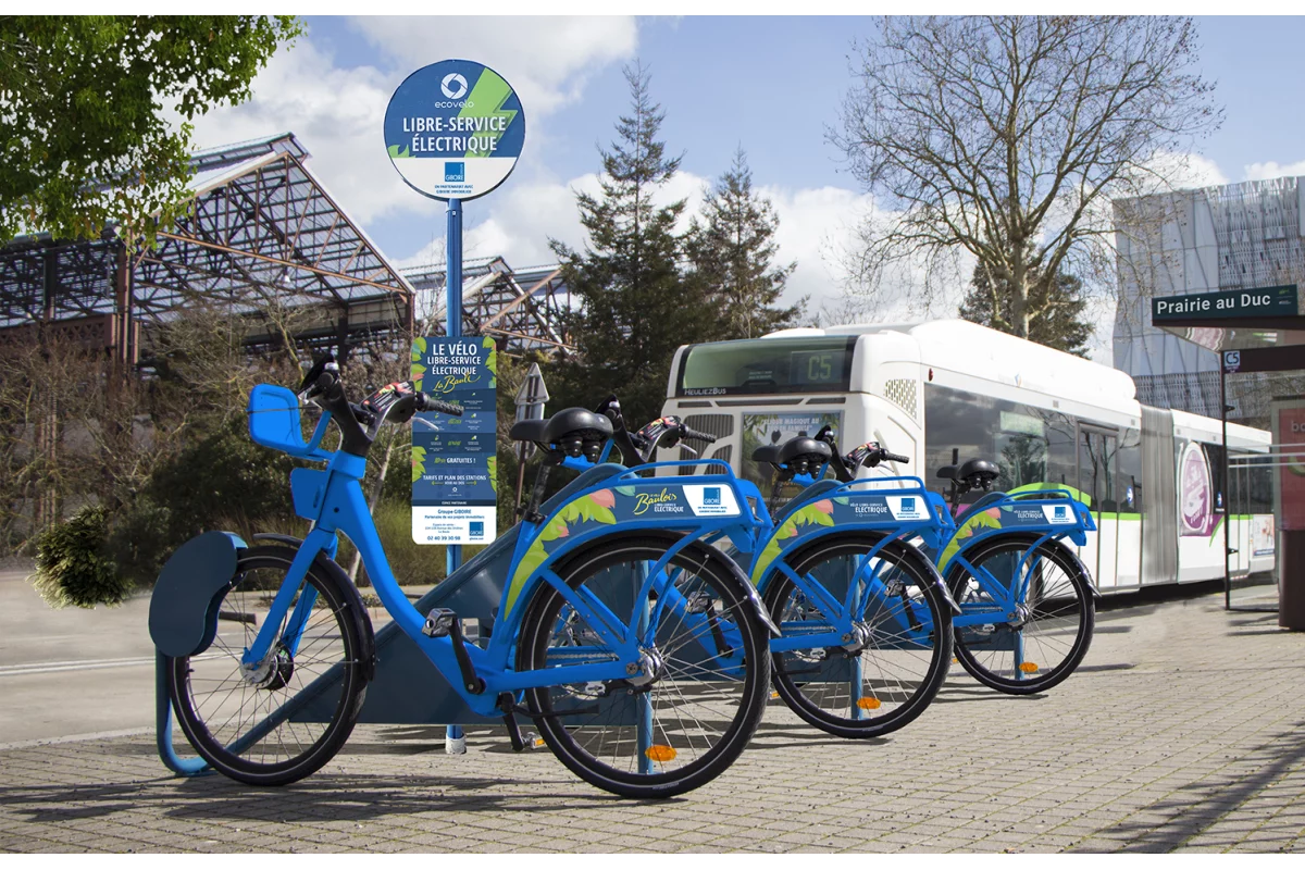 Arneses de cables Higo para bicicletas eléctricas de autoservicio