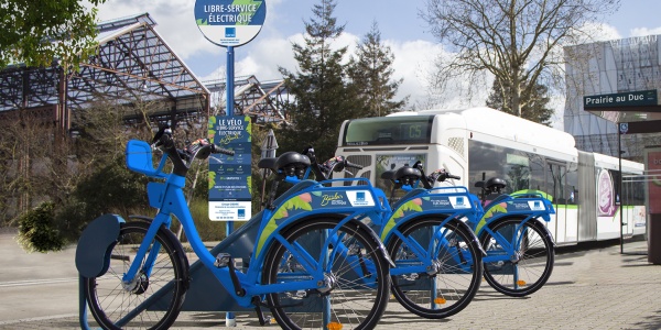 Faisceaux de câbles Higo pour vélos électriques en libre-service