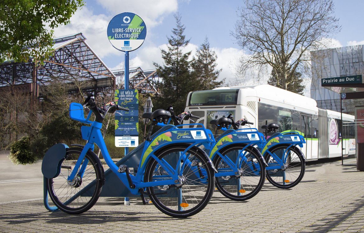 Faisceaux de câbles Higo pour vélos électriques en libre-service